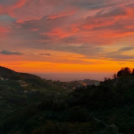 Il Nido Del Viaggiatore Vallebona Экстерьер фото