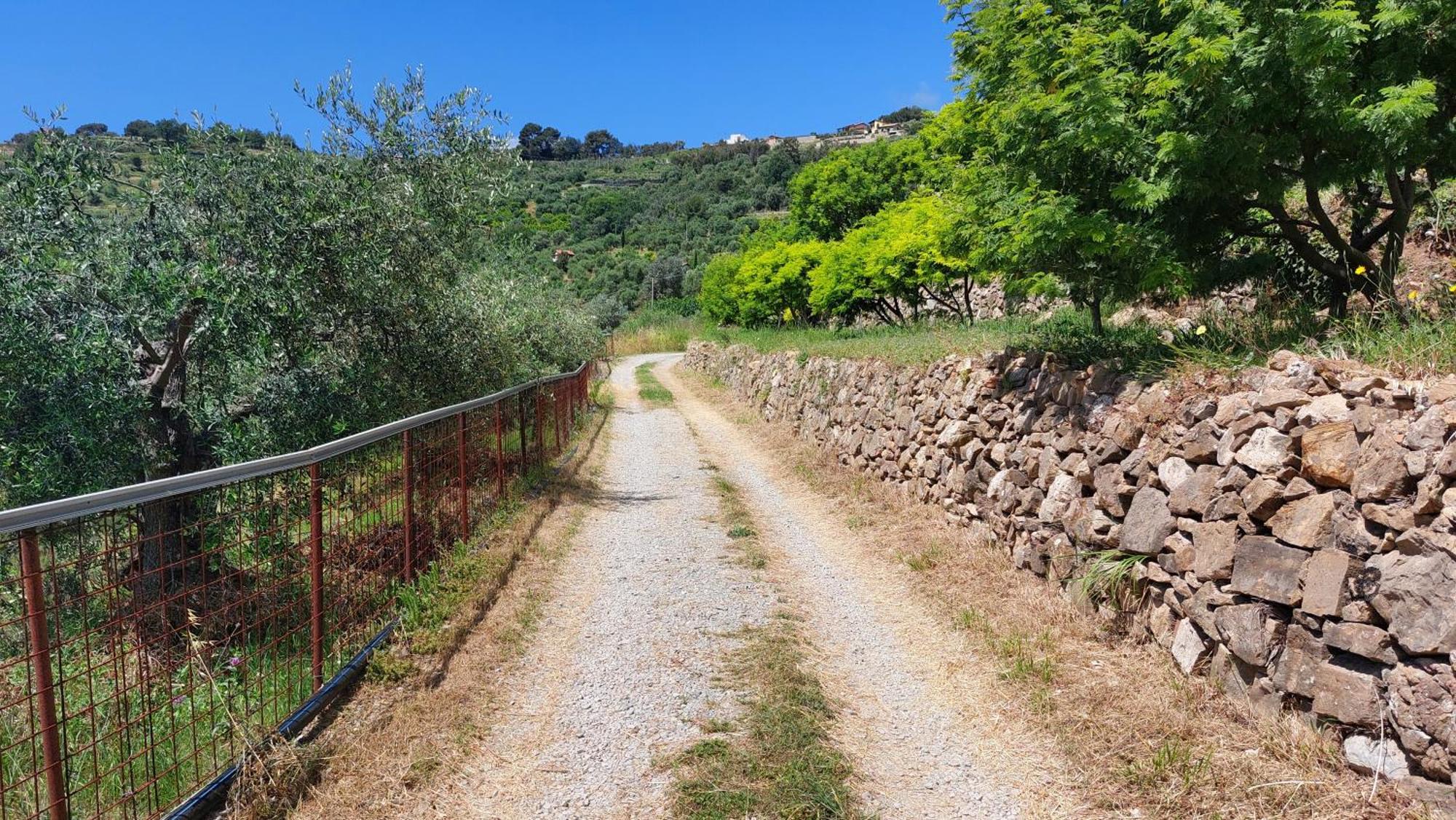 Il Nido Del Viaggiatore Vallebona Экстерьер фото